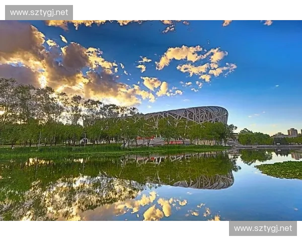 以北京国家体育场为核心探索中国大型体育场馆的发展格局与未来趋势
